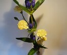 お花などを中心的に撮ってます 道端の花も野花であれば雑草でもある イメージ9