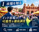 インド関連ビジネスのアドバイスをいたします 14億人のマーケットで飛躍しませんか イメージ2