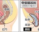 日本産後ダイエット協会認定資格取得が出来ます 産後女性の心と身体のケアで日本を元気に‼️妊娠前よりキレイ イメージ6