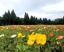 1〜5日間全力であなたを応援します あなたが頑張ってること応援させてください！ イメージ1