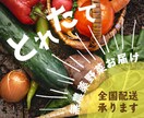 分かりやすく想いの伝わるバナーご提案します 保育、福祉経験を生かした女性・子ども・高齢者に伝わるデザイン イメージ3