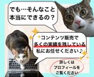売れるコンテンツをあなたに代わって作成します あなたは何もしなくてもOK！面倒な商品作りは丸投げ作成代行！ イメージ8