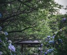 風景・旅行写真を落ち着いた雰囲気にレタッチします RAWデータを元にアンダーで雰囲気ある色味に丁寧に仕上げます イメージ7