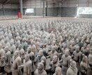 写真撮影、出張撮影、編集まで代行いたします プロのカメラマンが一眼カメラで撮影致します イメージ3