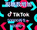 Tiktokの視聴数を増やします 多国籍のフォロワーに宣伝致します！ イメージ1