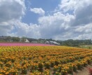 スマホで撮影した四季の風景写真をお届けします 「なんだか癒された」と思ってもらえる写真をめざしています イメージ5