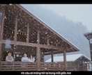 シネマティック動画作成します 映画のようなカラーグレーディング イメージ9