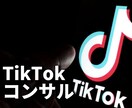 15万フォロワーがコンサルします 一緒にTikTokをバズらせましょう！ イメージ2