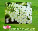 今すぐ、誰かに話したい!!あなたの気持ちに応えます 人間関係のモヤモヤ(-᷅_-᷄) ぜーんぶ話してスッキリ!! イメージ5