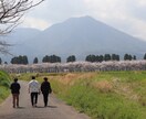 田舎ならではの自然、海の世界観を提供してます ご依頼様のご希望に添える一枚を提供致したいです。 イメージ4