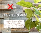 あなたの波動に合ったパワーストーンを処方します ⭐️恋愛成就⭐️金運アップ⭐️生年月日からオススメも⭐️ イメージ2