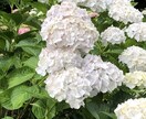 子育ての愚痴や夫婦間の悩みお聞きします ☆離婚の経験をもつ3児の母がどんな小さなことでも傾聴します。 イメージ2