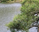 写真提供します あなただけの写真世界へ行こう！ イメージ2