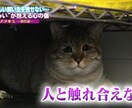 どんなお話も聞きます 恋愛の悩みや人間関係など愚痴やお悩みなんでも聞きます♪ イメージ1