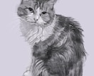 犬、猫などペット似顔絵描きます ネコちゃん、ワンちゃん他オーダーメイド、手描きの肖像画 イメージ1