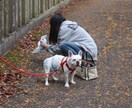 5分でもOK！どんな内容でもお話聞きます 楽しい会話も深刻な内容もなんでもどうぞ！ イメージ1