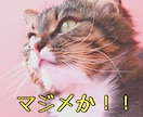 モテ効果抜群❤️笑うことであなたの魅力アップします 毎日ポジティブ⭐️心を明るく前向きにして幸運を引き寄せましょ イメージ5