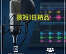 初心者歓迎！埋もれない「歌ってみた」作ります 初心者歓迎！埋もれない・ボヤけない「歌ってみた」作ります イメージ1