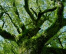 ５日間の人生相談・恋愛相談をお受けします Philosophia １日１回、ご返信します イメージ2