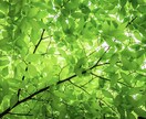 お話を伺いながら、ヒーリングいたします やりとり10往復まで可能、まずはお気軽に☆ イメージ1