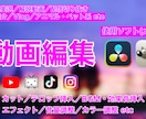 クオリティ重視で理想の仕上がりにします 幅広いジャンルに対応！あなたが求める動画をつくります！ イメージ1