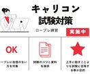 キャリアコンサルタント実技面接試験対策やります 合格が目的の練習/オールA合格/ロープレ初心者向け イメージ1