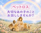大切なあの子への想いに、そっと寄り添います ペットロス・「ありがとう」も「ごめんね」もお聴きします。 イメージ1