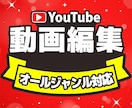 Youtube向け動画の編集致します 丁寧でこだわった編集を致します イメージ1