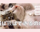 YouTubeのサムネイルを作成いたします 安心の修正無制限でお作りいたします。 イメージ2