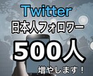 Twitterフォロワ500人増えるまで宣伝します 日本人のアクティブユーザーがあなたのアカウントをフォロー！ イメージ1