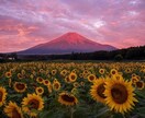 今の職場が辛い…辞めるべきか続けるべきか占います 決断に迷う方、辛い毎日から抜けるお手伝いを、させて頂きます イメージ1