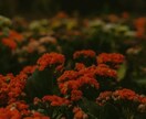 復縁成就｜神霊術による霊視にてお二人のご縁を視ます 後悔を断ち切り、あの人の隣へ戻るための真実の路を照らし出す イメージ10