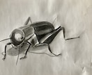 鉛筆、色鉛筆、水彩を使って人、動物、植物を描きます 昆虫・動物・人物・植物...お好きな物、描きます☆ イメージ1