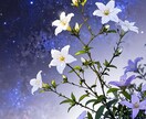 縁結び成就★残留思念の浄化×結界で停滞をほどきます 恋愛が進まない感情の絡まりを、1点だけほどきます イメージ4