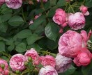 お悩み相談賜ります 日々のお悩みや話したい事などお話してみませんか？ イメージ2