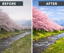 写真レタッチ・補正･人物商品ペット全対応いたします 人物・ペット・風景・記念写真に上質で自然なレタッチ！ イメージ3