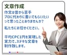 CPC広告に特化したLP、格安で制作します 購入前にデモ作成｜平均CPC1円を実現した実力派 イメージ10