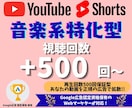 音楽特化型でYouTube広告を運用します 正規のYouTube広告を使用した安心・安全のプロモーション イメージ1