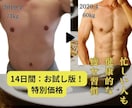 お試し版【破格】14日間でダイエットの基礎教えます 初心者大歓迎！『お値段以上の価値提供！』まずは14日間体験！ イメージ1