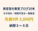 美容室向け！検索されやすいブログ20本作成します ネタ切れ・時間不足を一発解決。 美容室の集客ブログ20本作成 イメージ1