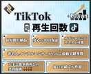 TikTok★10万再生増加するまで拡散します 会員数5,000万人を超える特大コミュニティで大拡散！ イメージ1