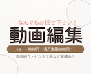 4000円〜youtube編集行います 分かりやすい動画に仕上げます！マルチカメラ対応可能 イメージ1