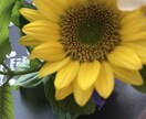 あなたの心に寄り添います 繊細な私があなたに寄り添います。 イメージ1