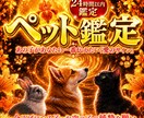 龍神の依り代となりペット様の魂の声を降ろします 白龍神の依り代霊視でペット様の声を届け、愛の龍脈を癒します イメージ1