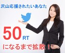 50RT保証！ツイートを世界にプロモーションします Twitter拡散で宣伝/集客/広告!!ココナラ最安値!! イメージ1