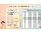 夫婦の年金と生活費を自動計算します 【1箇所入力】夫婦の年金と定年後の赤字リスクを徹底見える化 イメージ2