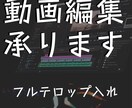 動画の字幕・フルテロップ承ります 全て文字起こしをして見やすくしませんか？ イメージ1