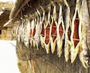 カムイ導きの仕事霊視【仕事総合】鑑定致します カムイの力で天職と使命を霊視し導く鑑定 イメージ4