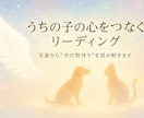 飼っているペットの心の声を読み解きます （通常3,000円→初回限定1,000円） イメージ3
