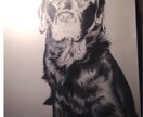 描いて欲しい絵、何でも描きます 白黒でカラフルよりカラフルにリアル魂を込めて描きます イメージ3